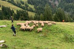 97a07a83-9ff3-427f-9bf6-f5297029b86e