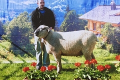 2017-05-22-PHOTO-00000029