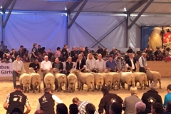 2017-05-22-PHOTO-00000329