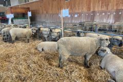 04312cf3-ecef-4d3c-af45-8897a05f2127