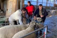 4ba7798c-d9b6-462f-b473-d3d00d0211c3