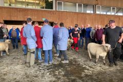 4db32d34-0df0-4989-907c-c3394da62577