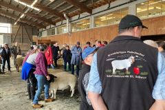 4fcc8874-1923-460f-ae24-481cb9c911bb