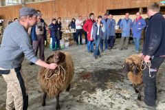 6eefd0b0-b2a3-4cbf-9cd5-49f160a2cf21