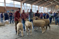 8729d806-705c-4aea-9f61-2fc11a704aed