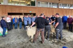 9032d4fe-279f-4060-8691-34e85b413438