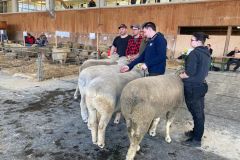 9e0572d9-9a93-493e-a15b-52d7d8a3f464