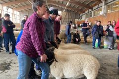 b9f5f824-0f19-4a48-a887-219a7a727f7b