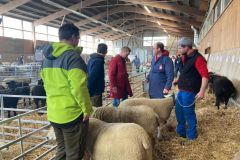 f51912bd-778a-4e86-b9be-ddbacf0d3982