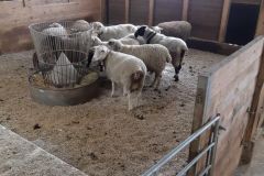 85c9c3f7-76c4-4a80-a870-65e4b94a6cf1