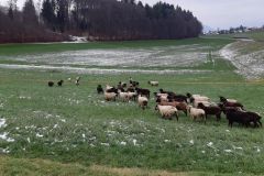 b8f95dba-9e98-4481-abe1-d7fc04f6a3ad